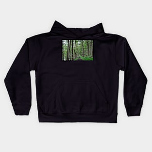 Walking along the path through the woods near Derwent Reservoir, Derbyshire, UK Kids Hoodie